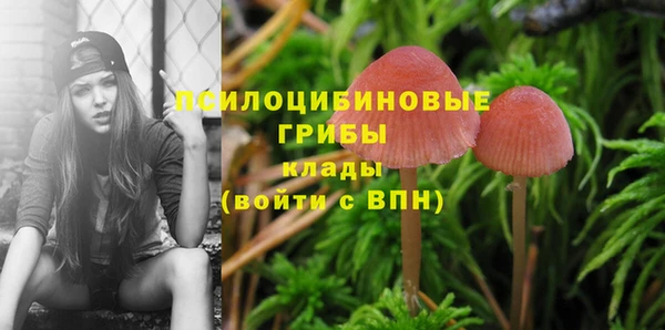 дистиллят марихуана Магас